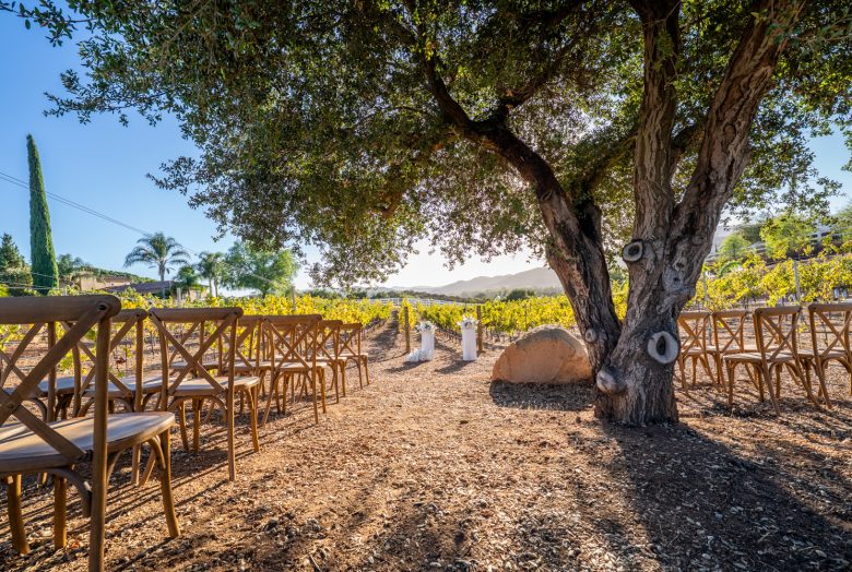 JDV_Village_Oct2025-8